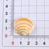 Carcasa de Color Sólido con Degradado Pegamento de Resina Crema Accesorios DIY Pinzas para el Cabello Funda de Teléfono Amuletos para Zapatos Materiales Hechos a Mano