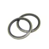 JB982 Kit de Reparo de Gaxeta Combinada Gaxeta Aço Inoxidável Anel de Vedação Métrico Tubo de Óleo Hidráulico de Alta Pressão O-ring Retentor de Óleo