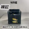 Acuario de Pez Arowana, Acuario de Cristal, Acuario de Escritorio, Filtro para Acuario, Acuario Pequeño para el Hogar, Acuario de Oficina, Acuario de Espalda Negra
