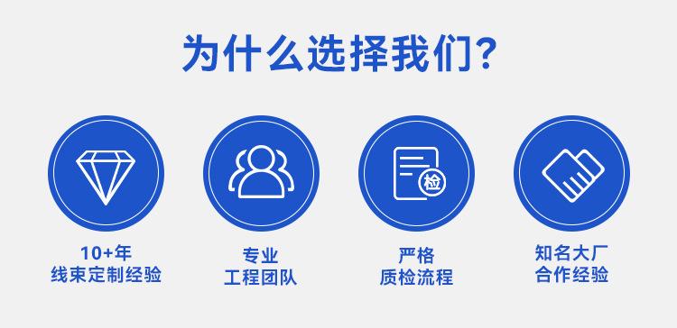 通用线束详情页_02.jpg