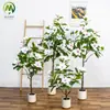 Árbol de Magnolia Artificial de Alta Gama con Plantas Verdes en Maceta Árbol Falso para Interiores Árbol de Magnolia Grande de Pie para Sala de Estar Adornos Decorativos