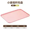 Bandeja estilo INS para uso doméstico, bandeja de té de plástico para tazas de té y vasos de agua, bandeja rectangular para frutas y alimentos para mesa de centro de sala de estar, fabricante