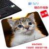 [Una generación de cabello] pequeño lindo gato tela antideslizante tapete para computadora arte estético simple borde bloqueado alfombrilla de ratón