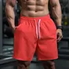 Pantalones Cortos de Verano para Hombre de Alta Calidad Transfronterizos, Pantalones Cortos Deportivos de Secado Rápido Holgados para Gimnasio, Pantalones Cortos de Playa