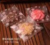 Bolsa Gruesa para Galletas Flor de Cerezo Escarchada Bolsa para Pasteles de Luna Bolsa para Empaquetar Snacks Dulces Bolsa para Empaque de Regalo Autoadhesiva 100 Piezas