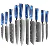 Juego de Cuchillos de Chef para Venta al por Mayor en Amazon Transfronterizo, Cuchillo Santoku para Rebanar Frutas, Cuchillo de Cocina Multiusos para Deshuesar, Juego de Cuchillos de 10 Piezas