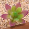 Planta Suculenta Mini Atacado Cabeça de Flor Artificial Pequenos Acessórios para Arranjo de Flores Suculenta Falsa Flor de Plástico Planta Decorativa Planta em Vaso