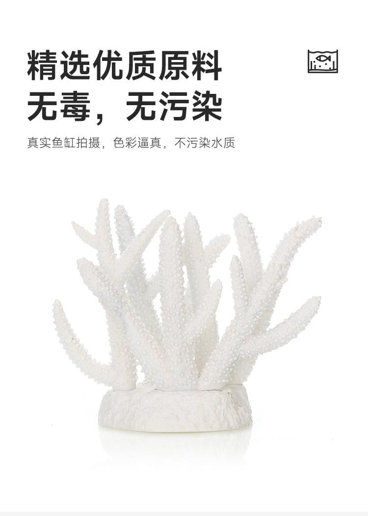 详情_05.jpg