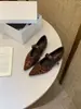 Sapatos Femininos 2026 Outono Novo Estilo Francês Retro Bico Fino Mary Jane Solos com Aumento Interno de Altura