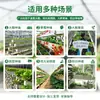 Tubo de Rack de Calha de Plantio de PVC Espessado para Estufas de Vegetais e Flores, Equipamento de Cultivo Hidropônico Montado na Parede Vertical, Calha de Plantio de Morango