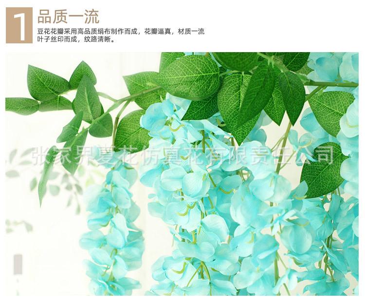 3头豆花紫藤_16.jpg