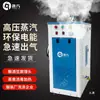 Caldera generadora de vapor industrial comercial alta presión elaboración pulpa tienda de ropa equipo de tintorería calefacción eléctrica pequeña