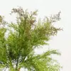 Manojos de Caucho Blando de Vegetación Artificial, Plantas de Pino Simuladas para Decoración de Bodas, Adornos de Plantas Acuáticas, Fabricante Transfronterizo al por Mayor