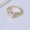 Collar para Mujer 2025 Nuevo Colgante de Perla Corazón Lujo Ligero Nicho Pendientes Clavos de Oreja Accesorios de Atmósfera de Gama Alta traje