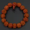 Suministro del Fabricante de Pulseras de Semillas Bodhi Nepalesas de Cinco Pétalos, Pulseras Bodhi Vajra Grandes sin Dientes y Cuentas Budistas para Rezar al por Mayor