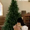 Árbol de Navidad para Uso Doméstico, Nuevo Modelo Infantil 2025, Adorno Grande de Alta Gama Estilo Coreano, Decoración de Árbol Desnudo, Celebridad de Internet Estilo Ins
