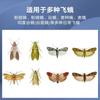 Armadilha para Mariposas para Capturar Moscas e Mariposas, Armadilha Doméstica Pequena para Insetos Voadores, Armadilha para Mariposas de Arroz e Farinha, Armadilha Adesiva para Mariposas de Arroz, Armadilhas para Moscas