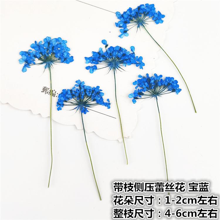 IMG20190221145501