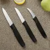 Set de Cuchillos para Tallar Frutas de Acero Inoxidable Cuchillo de Tallar Chef Cuchillo de Tallar de Acero Inoxidable Cuchillo de Tallar Pasteles Tallado de Cocina