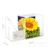 Arreglo de Flor de Girasol Preservada, Adorno de Escritorio de Flores Reales, Regalo para el Día del Maestro, Portalápices para Maestros y Personas Mayores