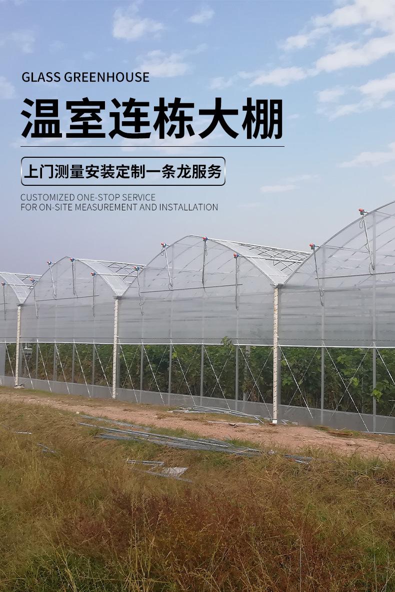 详情 (3).jpg