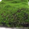 Alfombra de musgo, musgo verde, césped artificial biónico, hierba, plantas verdes artificiales, decoración, paisajismo, bonsái, pelo corto, micro paisajismo