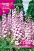 Atacado Sementes de Flores de 25 Anos Gipsofila Girassol Cosmos Capim de 100 Dias Girassol Hortelã Tigela Sementes de Lótus
