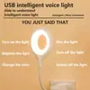 Lâmpada Inteligente de Mesa para Dormir, USB Transfronteiriça, Controlada por Voz em Inglês, Mini, Portátil, Ajustável em Três Níveis, Atacado