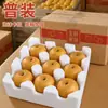 Pera Laiyang Qiuyue Auténtica, Peras de Shandong, Fruta Fresca de Temporada, Caja Completa, Extra Grande, Caja de Regalo de Festival de Medio Otoño 10