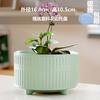 Vaso de flor de cerâmica atacado europeu fosco com prato especial para phalaenopsis vaso para árvore da sorte vaso para suculenta entrega em peça única