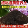 5 Tipos de Tierra Nutritiva para Flores, Tierra para Flores de Uso General para Plantar Flores, Plantas de Interior en Macetas, Plantas Verdes, Tierra de Siembra, Cultivo en Tierra Suelta