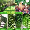 Planta Verde Hiedra Ratán Artificial Vid Artificial Flor Boda Flor Artificial Planta Verde Vid de Flores Decoración de Escena