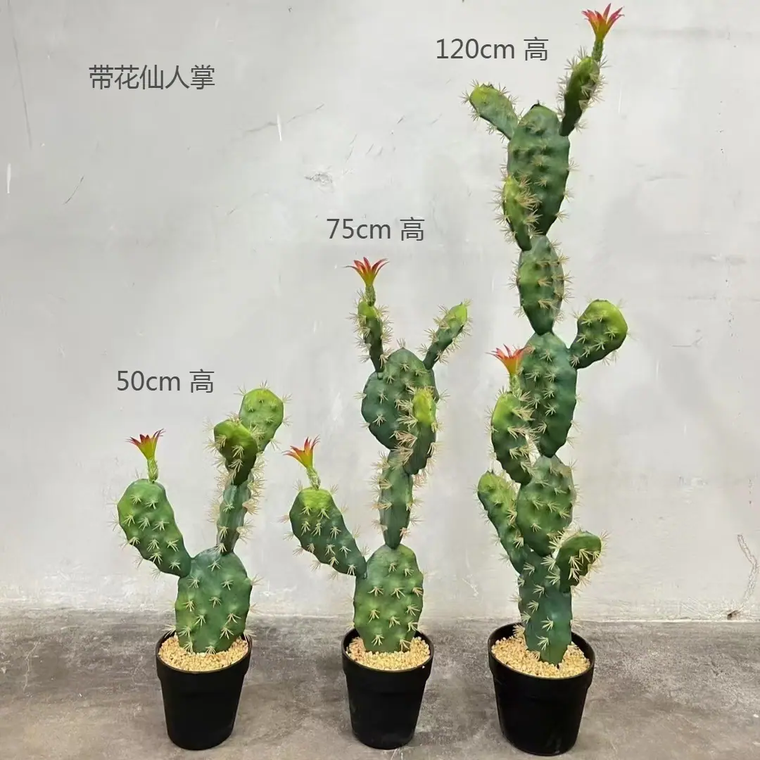 带花仙人掌、.png