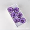 Rosa de Flor Eterna 5- 6cm Cabezas de Flores Cabeza de Rosa Eterna Material Flor Preservada Caja de Regalo Material Floral DIY