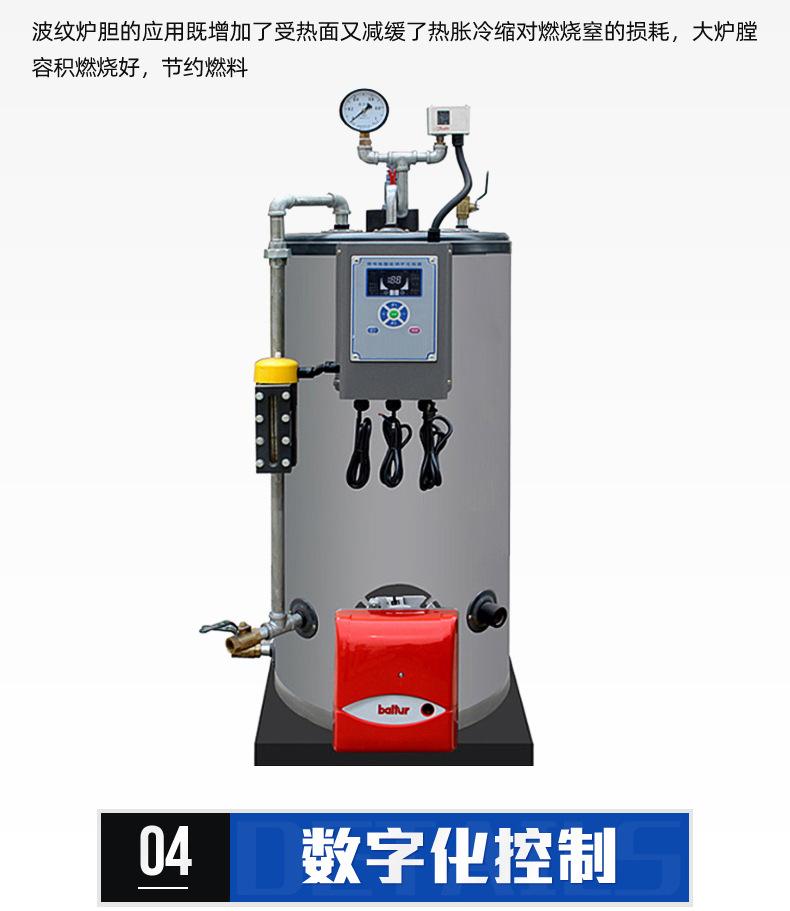 9立式燃油蒸汽_08.jpg