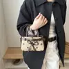 2026 Nova Bolsa de Mão de Bolinhas Feminina de Verão Versátil Ombro Único Transversal Bolsa de Trabalho Casual Grande Capacidade Nicho