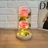 Adorno de Cúpula de Cristal con Luz de Doble Rosa Preservada, Decoración de Regalo para el Día de San Valentín, Venta al por Mayor desde el Fabricante