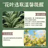 Paquete de Materiales de Eco-Impresión con Plantas Regalo Pequeño para Jardín de Infancia Ventilador de Golpear e Imprimir Set de Bricolaje Eco-Impresión Flores Frescas Estampar sobre Tela Blanca