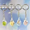 Accesorios Colgantes de Concha Transparente Románticos Soñadores Colgante para Bolso Llavero Creativo Hecho a Mano DIY para Mujer