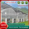 Protetor solar tubo de aço esqueleto flor vegetal muda plantando porco Casa gado galpão anel de ovelhas conjunto completo uma peça conectada estufa