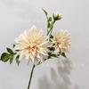 Flor Artificial de Alta Qualidade 3 Dália Flor Dália Flor Dali Decoração de Paisagem para Casa Estúdio Arranjo de Flor para Casamento