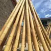 Cañas de bambú anticorrosivas, mamparas decorativas de bambú, postes de valla para exteriores, barandillas de jardín, enrejados de bambú para techos interiores
