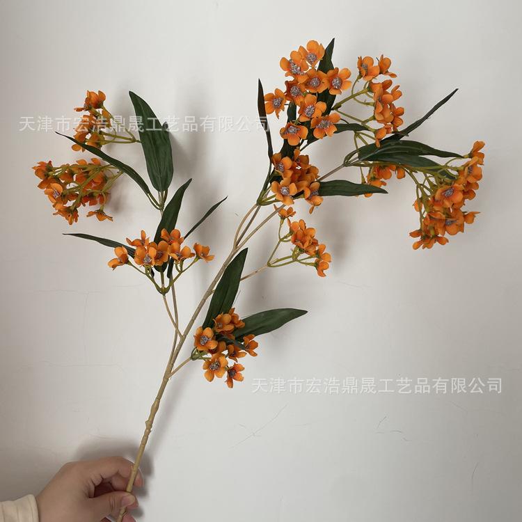 微信图片_202211251407364_副本