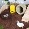 Cama de cáscara de semilla de ciprés y pollo de rutina Cáscara de ciprés Hámster Oso Dorado Limpieza Pollo Ludin Codorniz Fermentación sin polvo Cama
