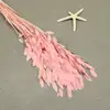 Flor mágica hierba de la pequeña esperanza eterna ramo flor real Natural Alto sentido ins estilo nórdico sala de estar decoración jarrón Flor eterna