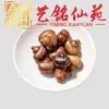 Madera de Azufaifo Rayada Forma Natural Espada del Tesoro Tallado Accesorios Coleccionables Yi Ming Xian Yuan Creativo DIY Pulsera Collar Accesorios para Cuentas