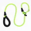 Corda de Treinamento para Cães P Chain à Prova de Explosão Corda P para Cães Pequenos, Médios e Grandes Golden Retriever Labrador Teddy