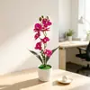 Día de Año Nuevo Top Grande Fondo Pequeño 7 Orquídeas Phalaenopsis Bonsái Decoración de Jardín para el Hogar Flor de Simulación Planta Verde Planta en Maceta Adorno