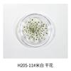 Decoração de flor seca para nail art transfronteiriça, mistura de flores pequenas frescas, estrela bebê, flor de contas de neve, acessórios DIY, enfeites de unha