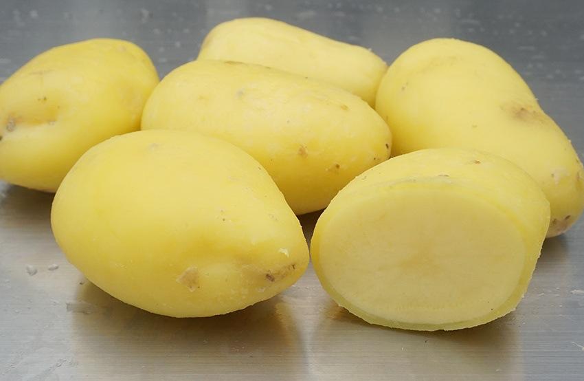 20230306174825GOIF7L